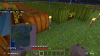 Lighting bug2.png