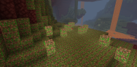 screenshot-3.png