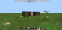 Screenshot_20200430-205852_Minecraft.jpg