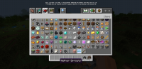 Screenshot_20200501-065740_Minecraft.jpg