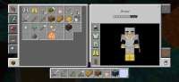 Screenshot_20200503_163011_com.mojang.minecraftpe.jpg