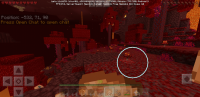 Screenshot_20200503-093216_Minecraft.jpg