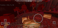 Screenshot_20200503-093237_Minecraft.jpg