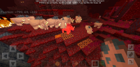 Screenshot_20200503-093955_Minecraft.jpg