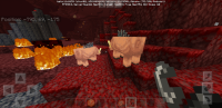 Screenshot_20200503-093927_Minecraft.jpg