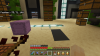 Minecraft 5_3_2020 9_13_55 PM.png