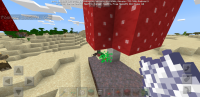 Screenshot_20200503-185929_Minecraft.jpg