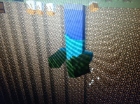 image.jpg