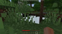 Captura de Tela (14).png