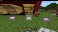 Minecraft 5_9_2020 1_42_08 AM.png