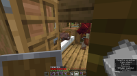 Bed Bug 1.png