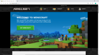 minecraft bug fix.png