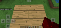 Screenshot_20200517-235356_Minecraft.jpg