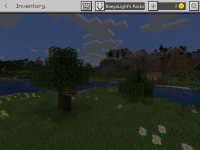 Image-3.png