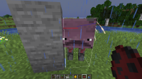 Minecraft 20w20b - Singleplayer 19_05_2020 17_56_21.png