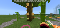 Screenshot_20200519-172830_Minecraft.jpg