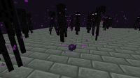 2020-05-21_00.03.46.png