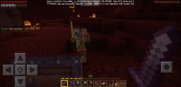 Zombiefied Piglin 1.jpg