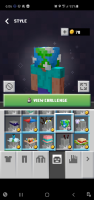 Screenshot_20200520-180613_Minecraft Earth.jpg
