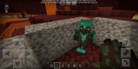Screenshot_20200521-134111.png