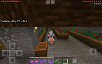 thumbnail_Minecraft_2020-05-21-09-34-49.jpg