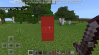 bug1.jpg