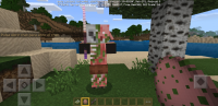 Zombiefied Piglin 5.jpg