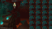 Screenshot_2020-05-09-17-08-21-676_com.mojang.minecraftpe.jpg