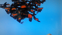 WIN_20200522_16_41_26_Pro.jpg