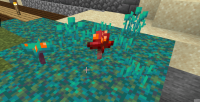 2020.05.23.22.22.14 - Edited.png