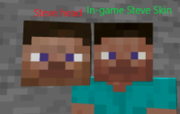 steve heads.png