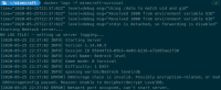 image-2020-05-25-15-39-18-547.png