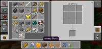 Screenshot_20200525-165202_Minecraft.jpg