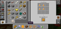 Screenshot_20200525-165154_Minecraft.jpg