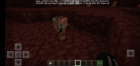 Screenshot_20200526-011428_Minecraft.jpg