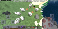 Screenshot_2020-05-26-08-30-45-259_com.mojang.minecraftpe.png