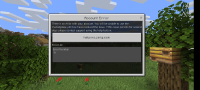 Screenshot_20200531-025640_Minecraft.jpg