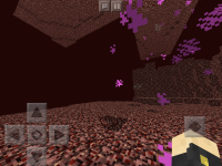 image0 (11).png