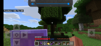 Screenshot_20200603-131434_Minecraft.jpg