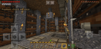 Screenshot_20200602-162524_Minecraft.jpg