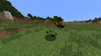 image-2020-06-07-20-38-40-667.png