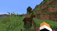 image-2020-06-07-20-52-15-794.png