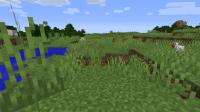 2020-04-10_10.12.14.png