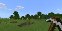Screenshot_20200611_210848_com.mojang.minecraftpe.jpg