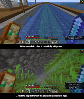 Kelp bug.jpg