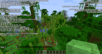 javaw_2020-06-12_14-55-39.png