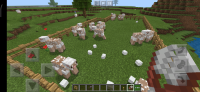 Screenshot_2020-06-13-17-02-36-603_com.mojang.minecraftpe.jpg