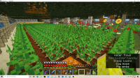 Minecraft Screenshots NE Corner.png