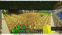Minecraft Screenshots SE Corner.png