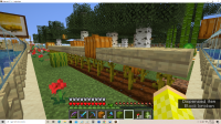 Minecraft Screenshots SW Corner.png